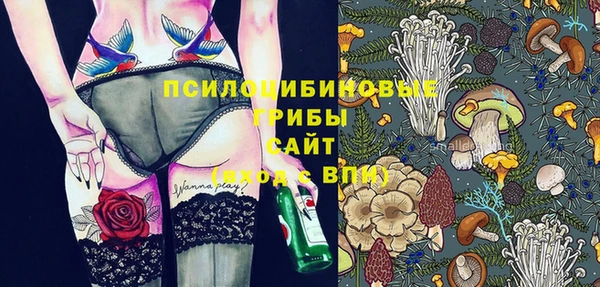 трава Медногорск