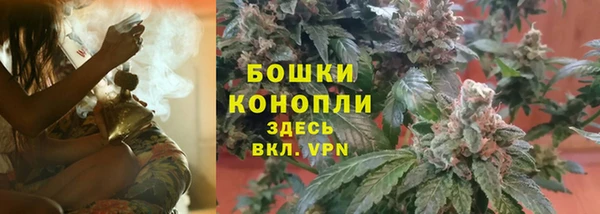 трава Медногорск