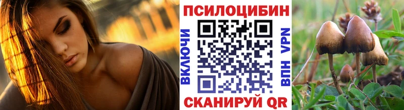 Галлюциногенные грибы Psilocybe  купить наркотики сайты  KRAKEN ссылки  Хадыженск 